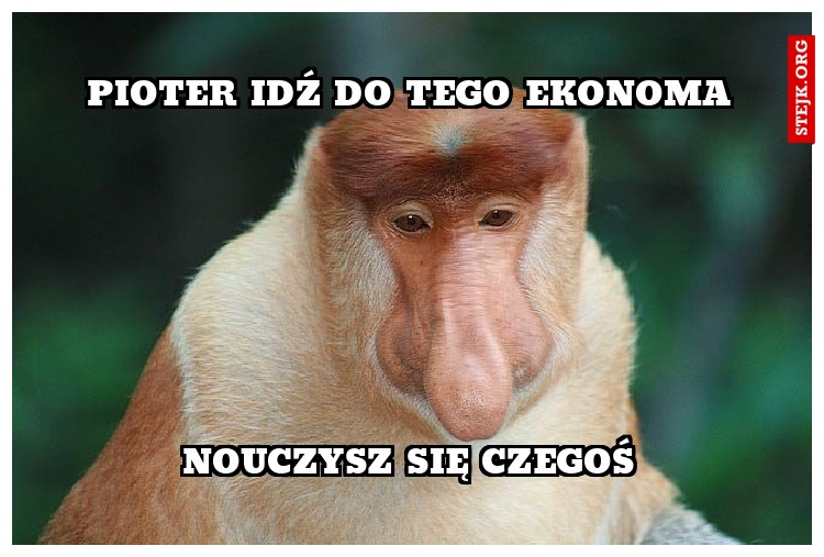 pioter idź do tego ekonoma