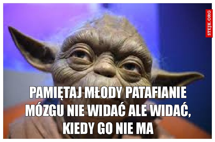 PAMIĘTAJ MŁODY PATAFIANIE MÓZGU NIE WIDAĆ ALE WIDAĆ, KIEDY GO NIE MA