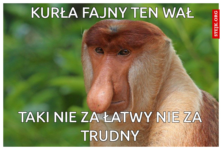 Kurła Fajny ten wał