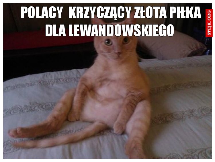 POLACY  KRZYCZĄCY ZŁOTA PIŁKA DLA LEWANDOWSKIEGO 