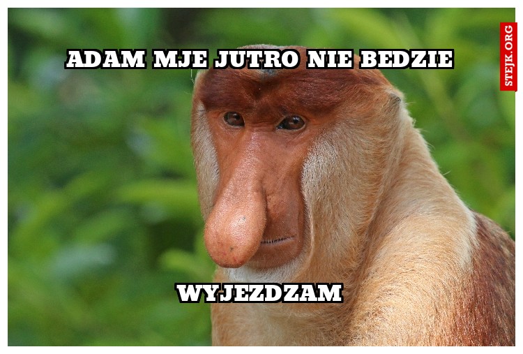Adam mje jutro nie bedzie