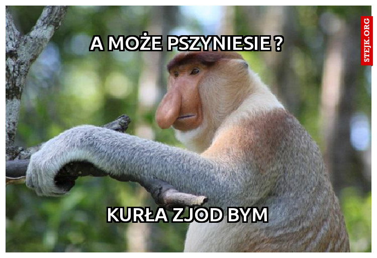 a może pszyniesie ?