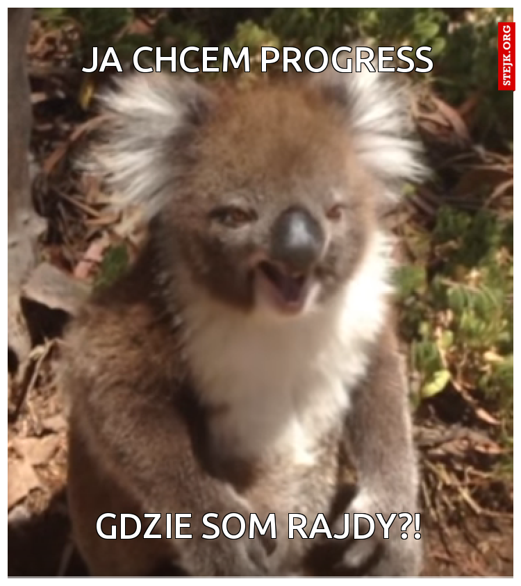gdzie som rajdy?!
