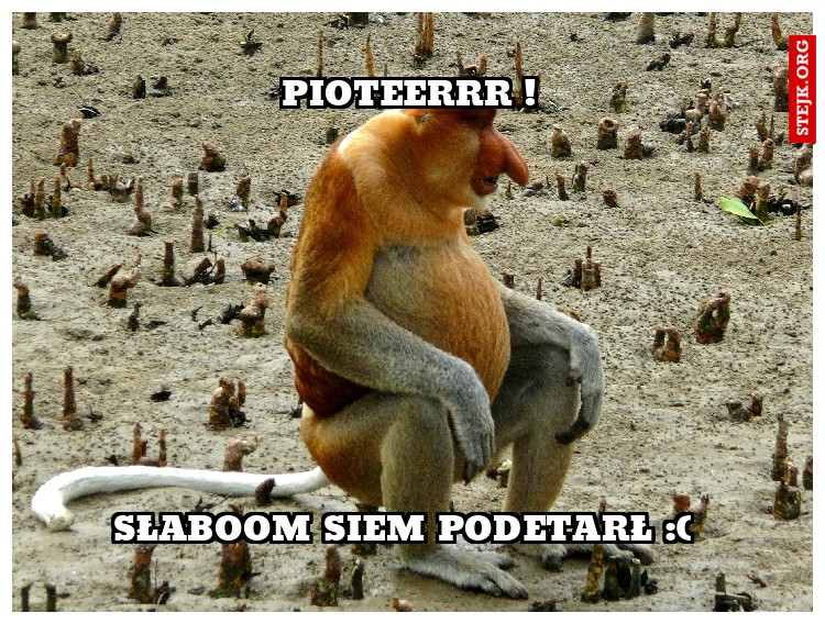 Pioteerrr !