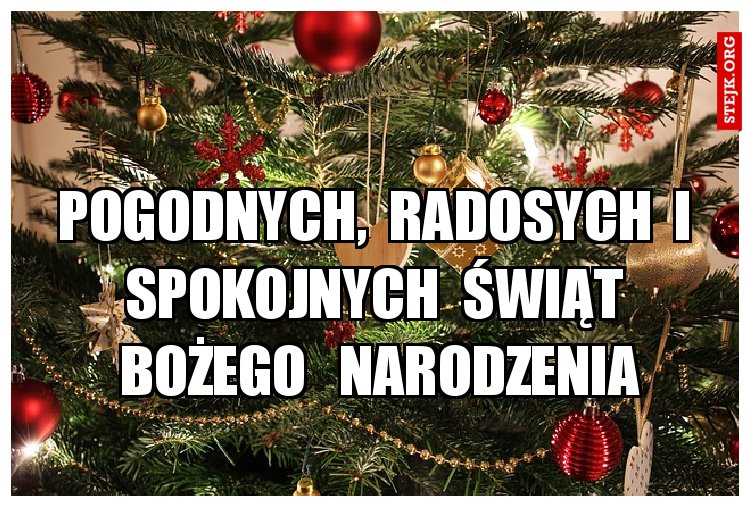 Pogodnych,  radosych  i  spokojnych  świąt  Bożego   narodzenia