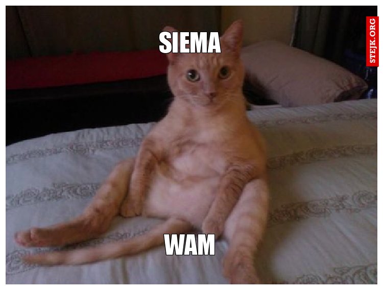 Siema