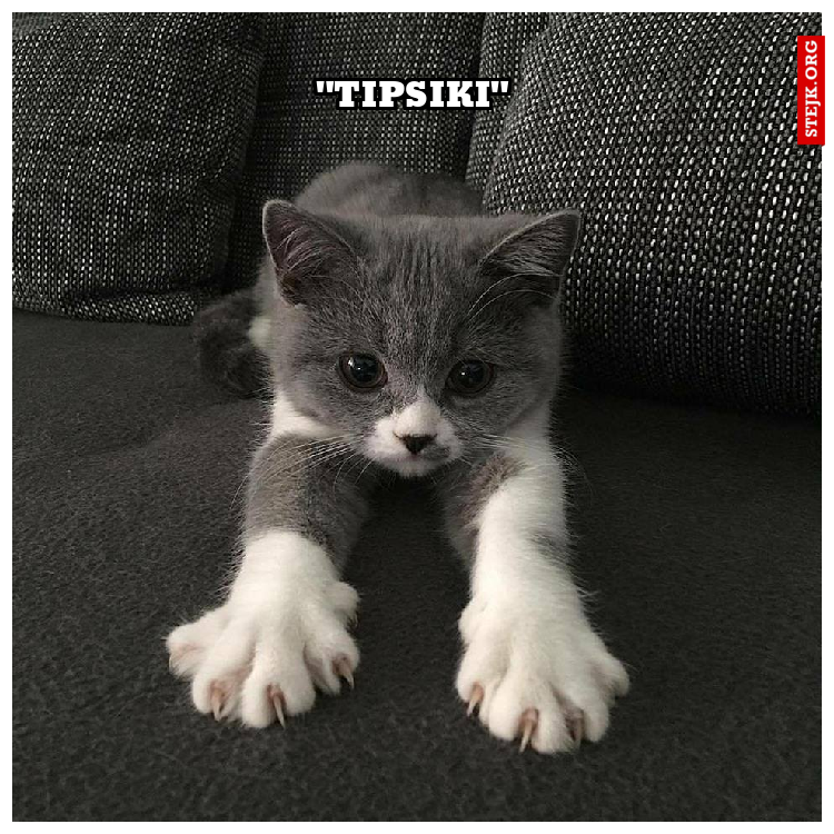 "Tipsiki"