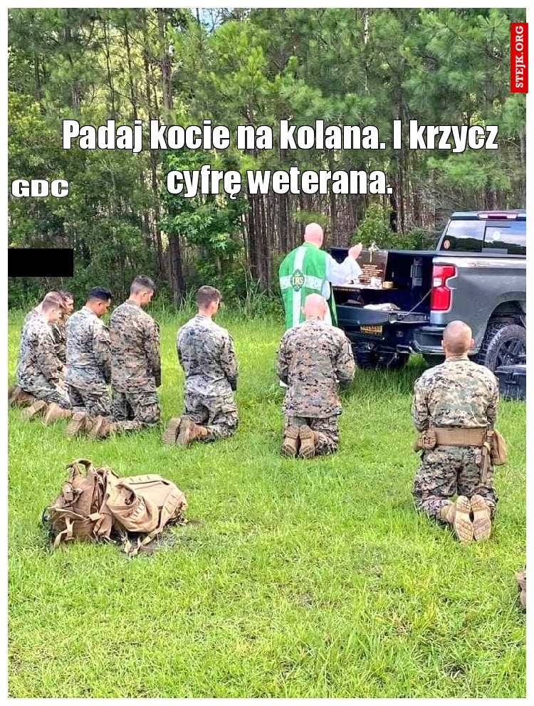 Padaj kocie na kolana. I krzycz cyfrę weterana.