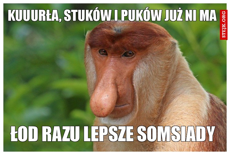kuuurła, stuków i puków już ni ma