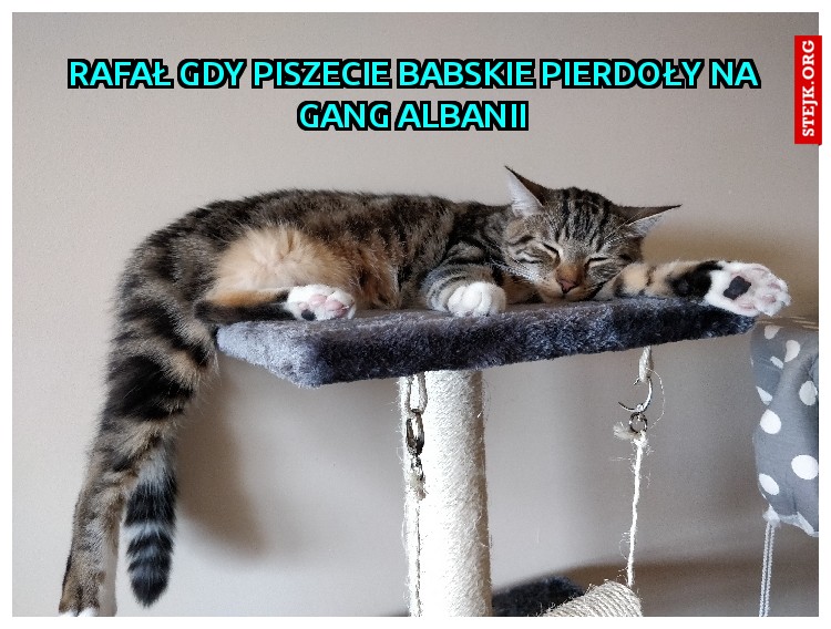 Rafał gdy piszecie babskie pierdoły na Gang Albanii