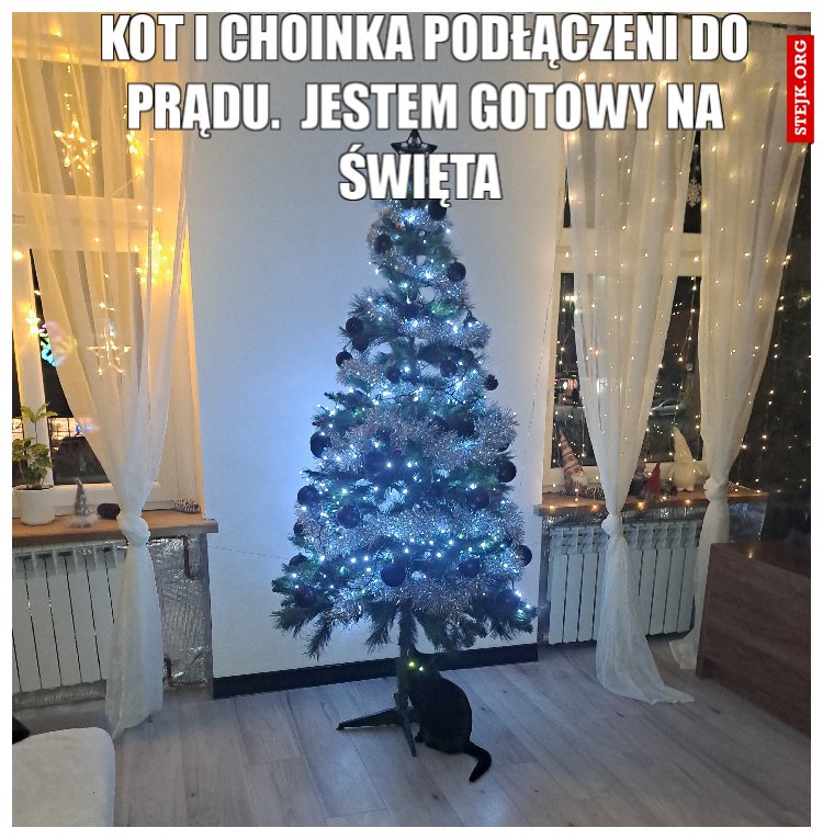Kot i choinka podłączeni do prądu.  Jestem gotowy na święta 
