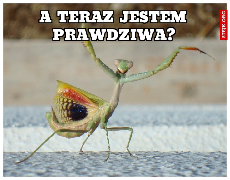 A teraz jestem prawdziwa?