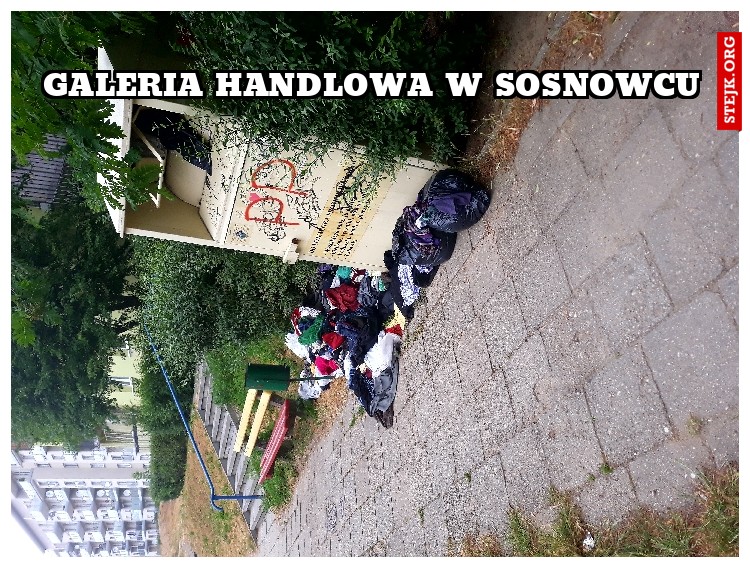 Galeria handlowa w Sosnowcu