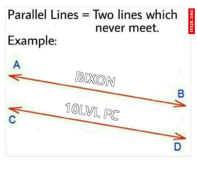 BIXON