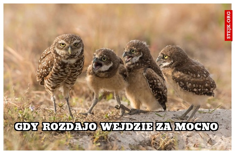 gdy rozdajo wejdzie za mocno