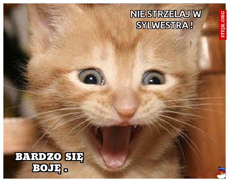  Nie strzelaj w sylwestra !