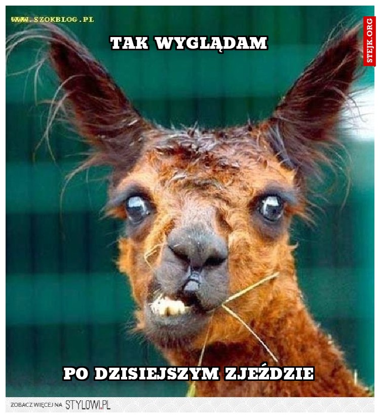 TAK WYGLĄDAM