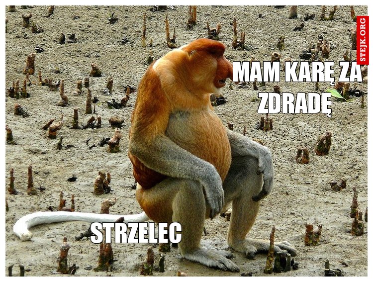 Syrzelec