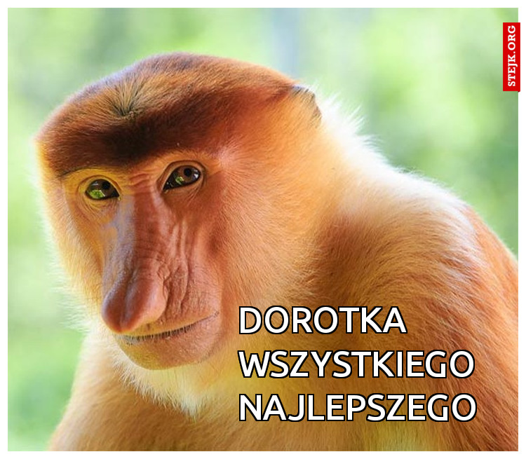 Dorotka wszystkiego najlepszego