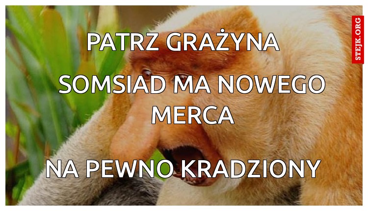 patrz grażyna