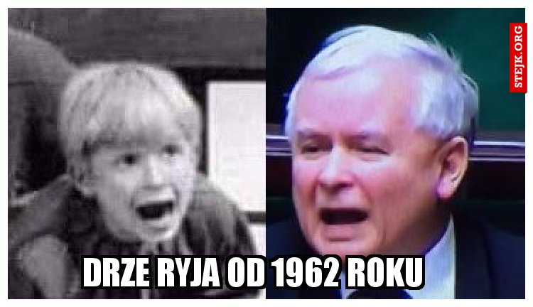 DRZE RYJA OD 1962 ROKU