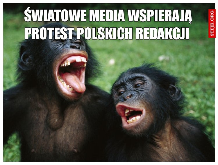 Światowe media wspierają protest polskich redakcji 