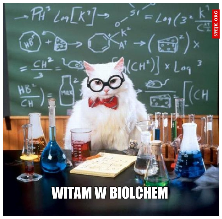 Witam w biolchem