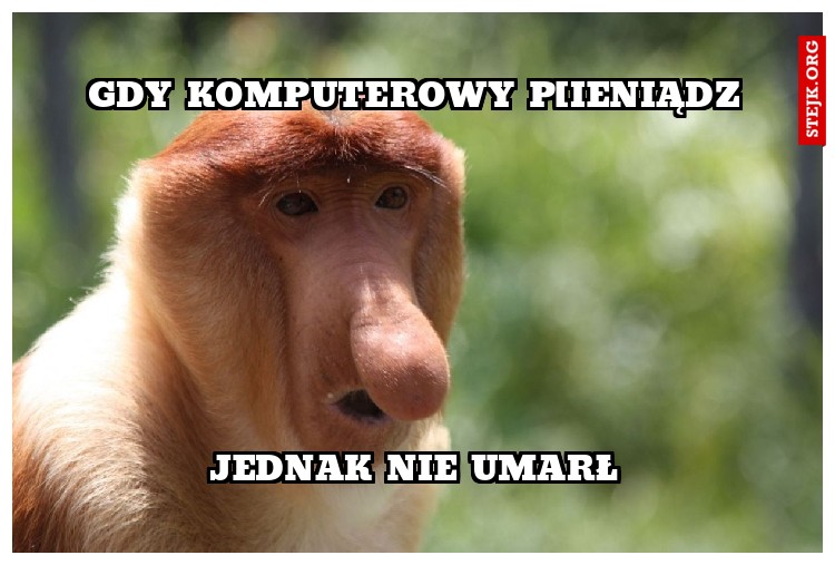 GDY KOMPUTEROWY P[IENIĄDZ