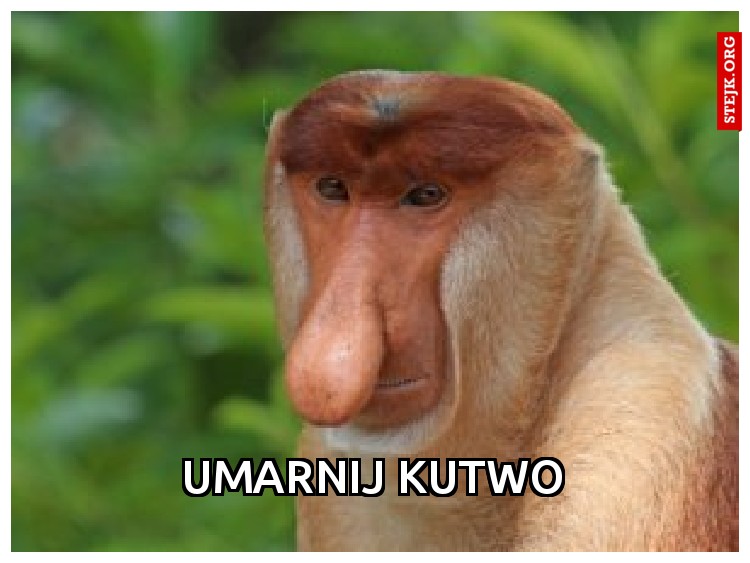 Umarnij kutwo