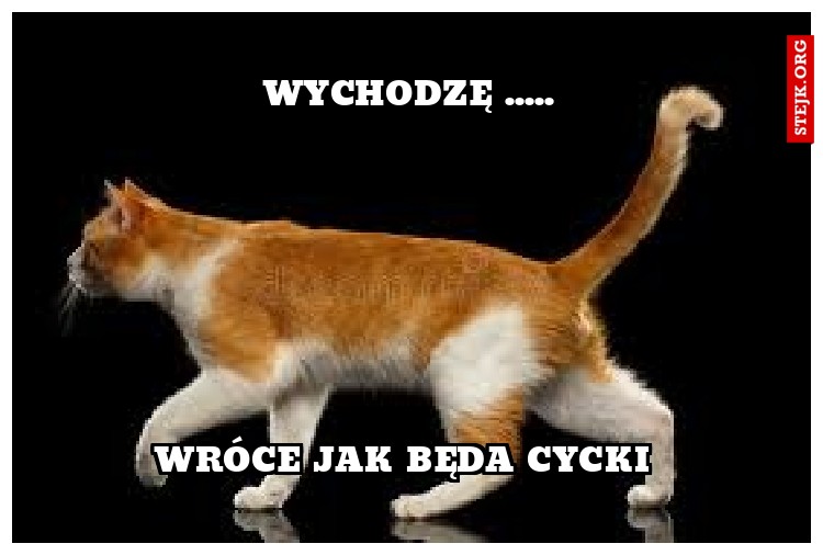Wychodzę .....