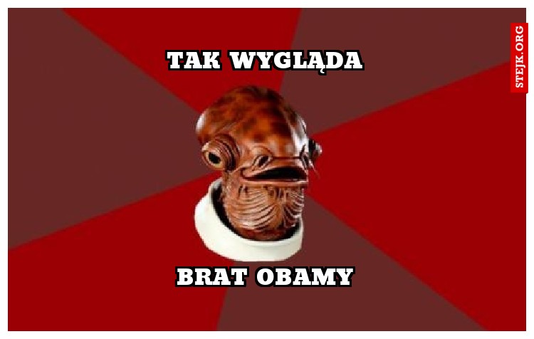 tak wygląda