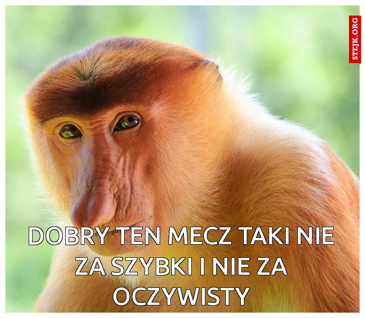 Dobry ten mecz taki nie za szybki i nie za oczywisty
