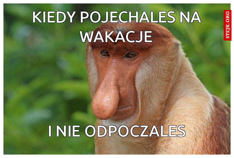 kiedy pojechales na wakacje