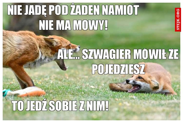 Nie jadę pod żaden namiot nie ma mowy!