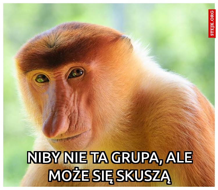 Napisali "zamiana", to dodam co mi zalega!