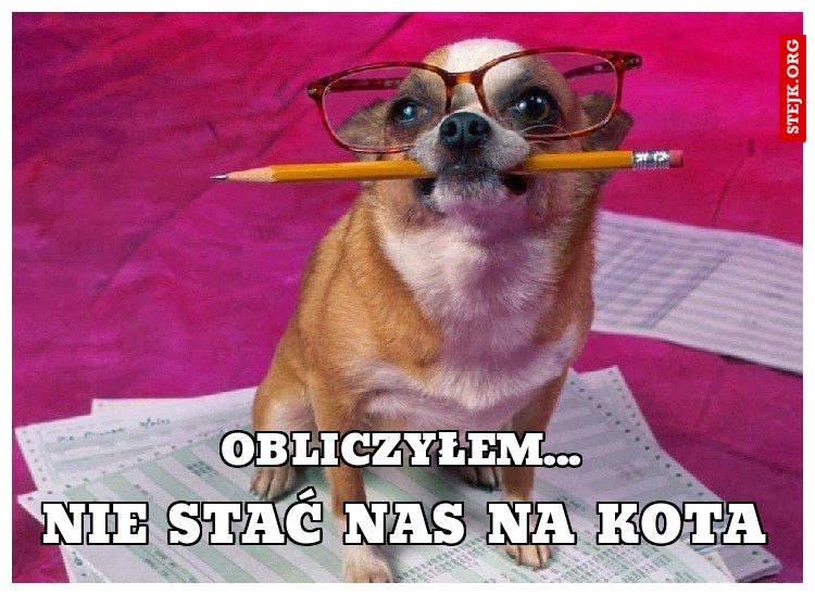 Obliczyłem...