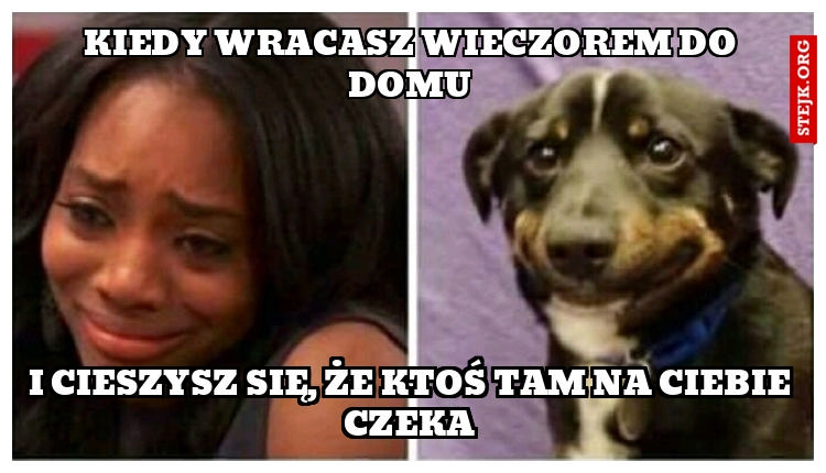 Kiedy wracasz wieczorem do domu
