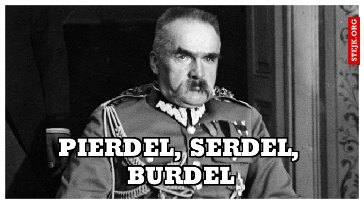 ANALIZA KONSTUTUCJI MARCOWEJ: