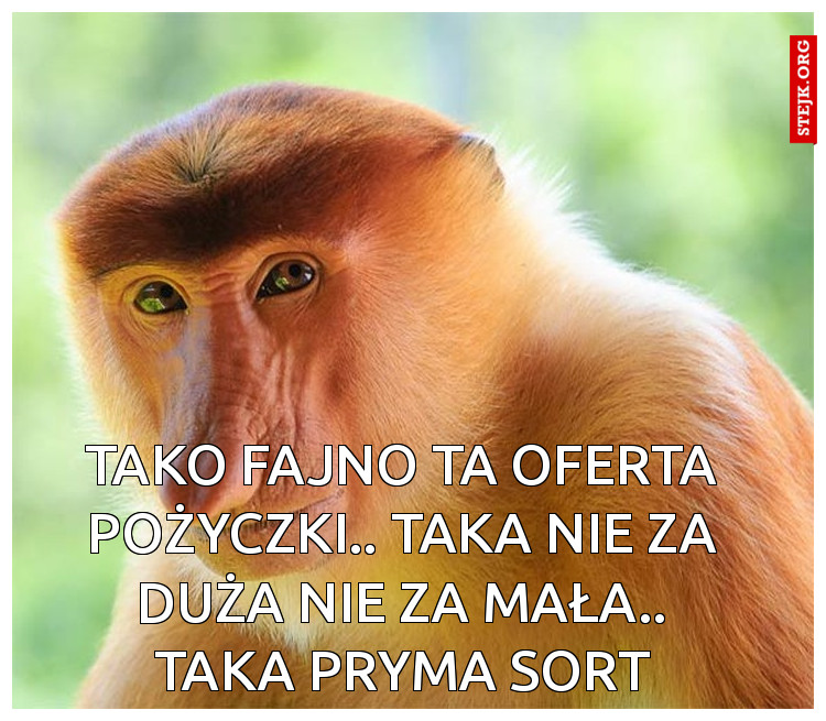 Tako fajno ta oferta pożyczki.. taka nie za duża nie za mała.. taka pryma sort
