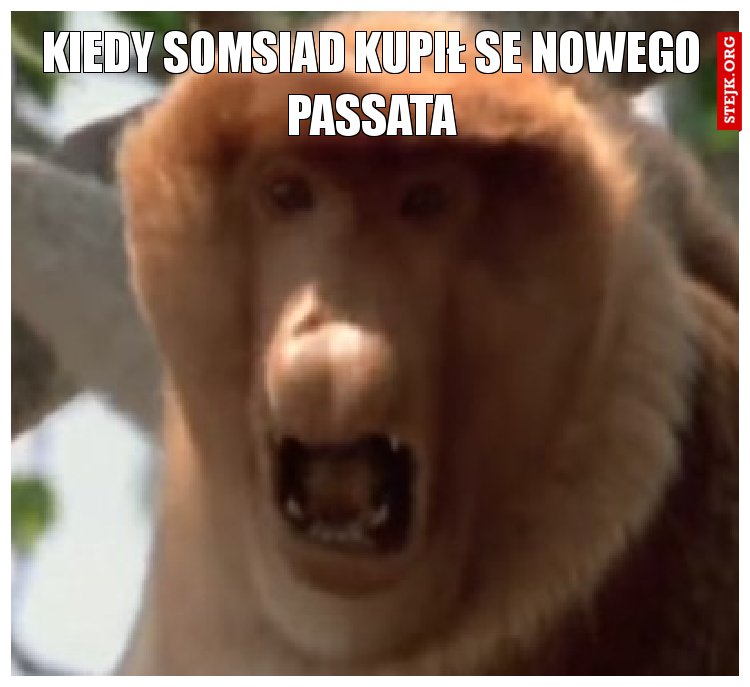 Kiedy somsiad kupił se nowego passata