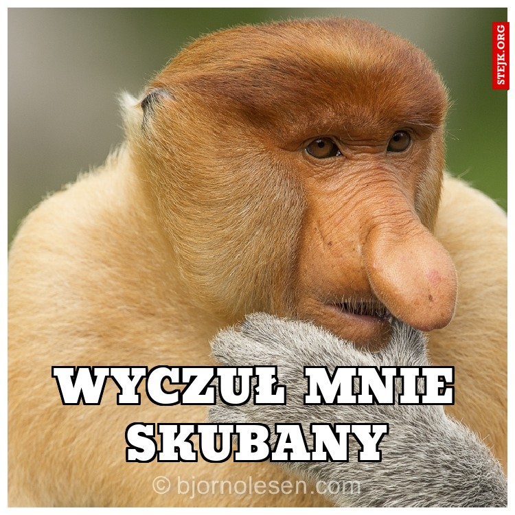 wyczuł mnie skubany