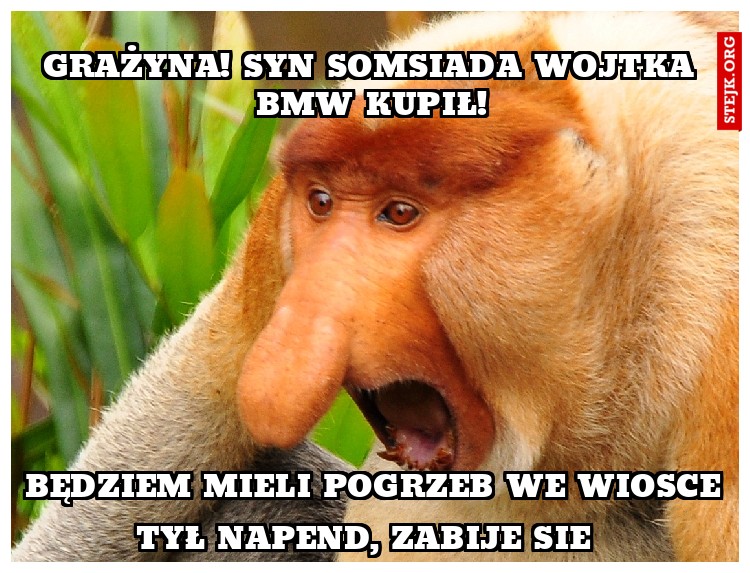 Grażyna! syn somsiada wojtka bmw kupił!