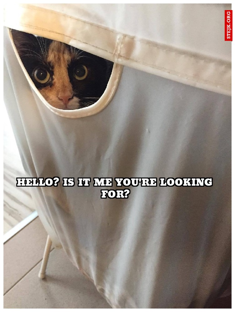 Hello? Is it me you're looking for?