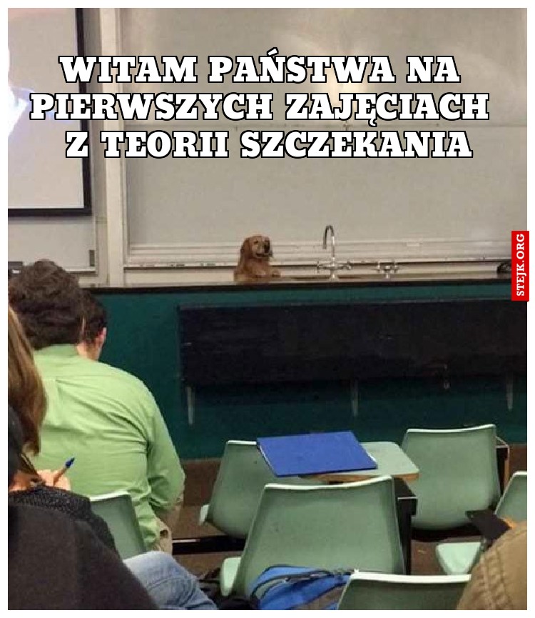 Witam państwa na pierwszych zajęciach z teorii szczekania