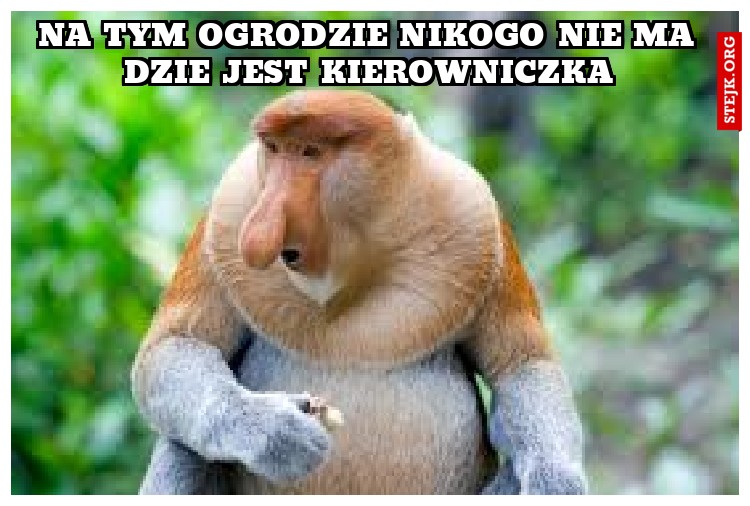 PANIE ILE TO KOSZTUJE