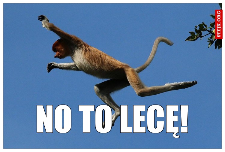 No to lecę!
