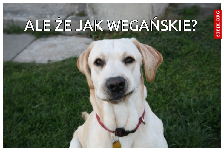 Ale że jak wegańskie?