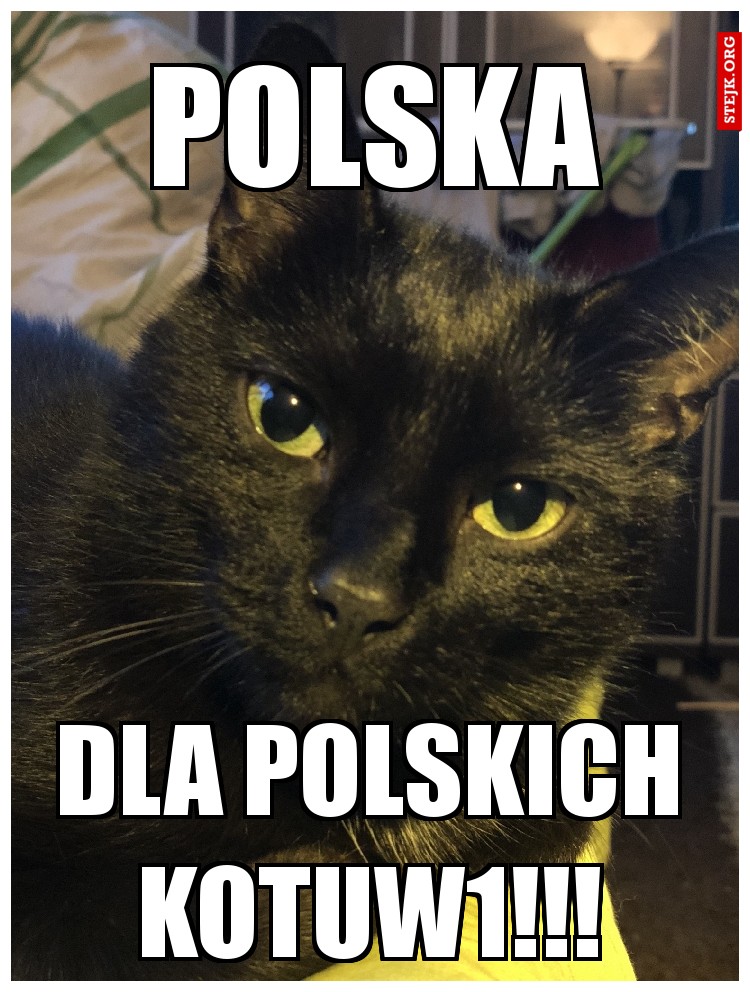 POLSKA