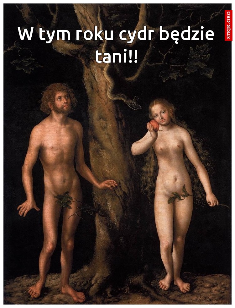 W tym roku cydr będzie tani!!