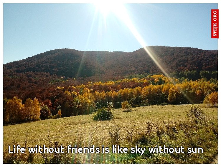 Life without friends is like sky without sun